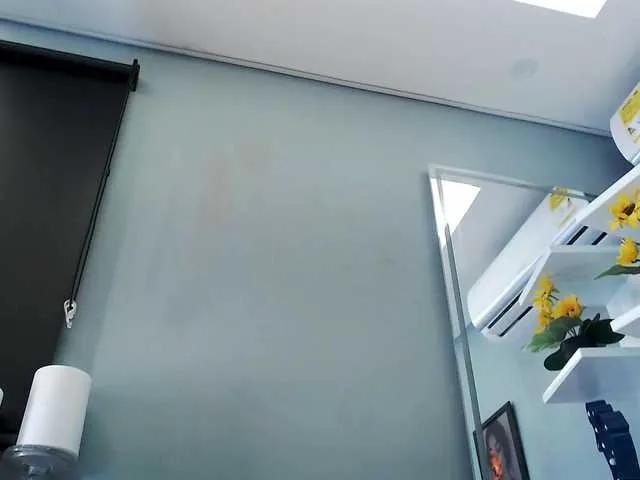 Offline zoeyfox on BongaCams