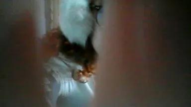 Offline candy330 on Cam4
