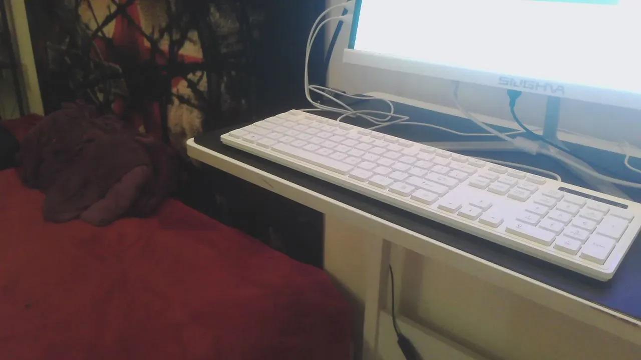 Offline JANININA on Cam4