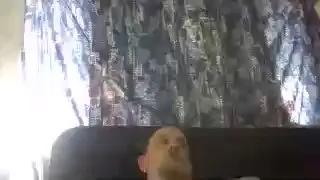 jonno67 on Cam4 