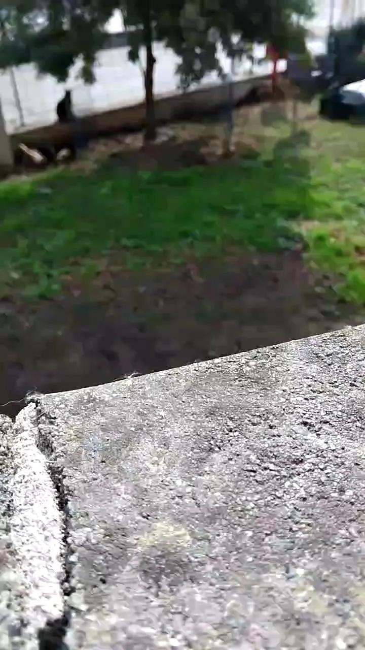 Offline luxxuriax on Cam4