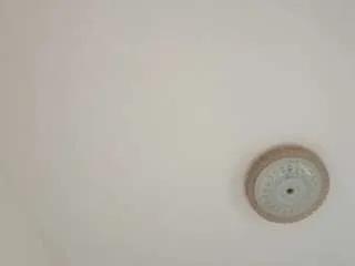 amalarabic on CamSoda 