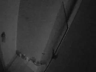 voyeurcam-casa-salsa-bathroom-7