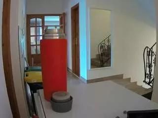 Freechat voyeurcam-julmodels-hall-1st on CamSoda