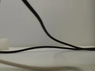 Offline samuel_rom on Flirt4Free