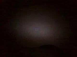 willa_vance on Flirt4Free 